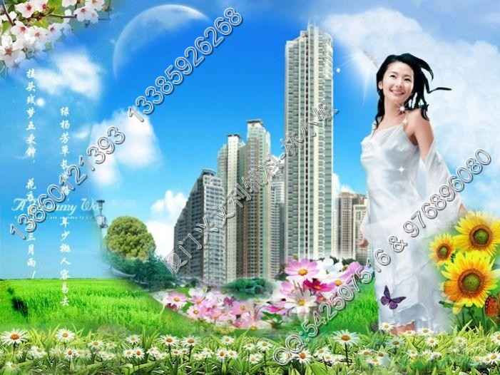 精美宣传单 - 图3